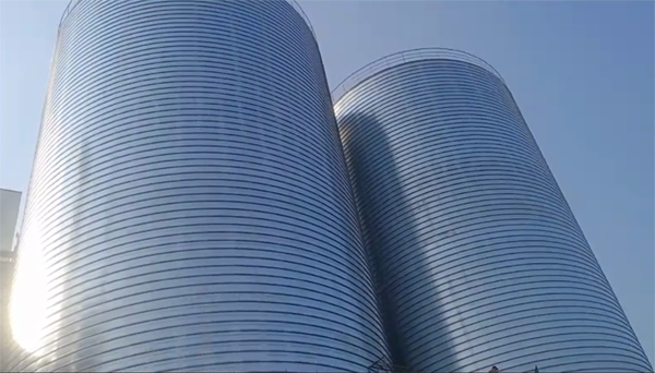 定海2座混凝土高架卷板仓